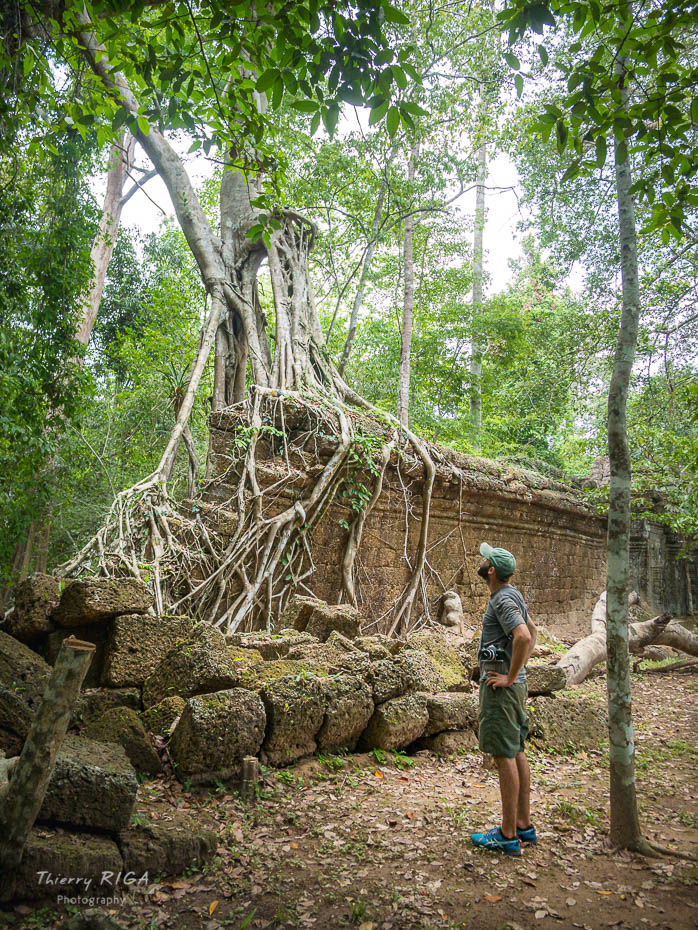 Angkor_Wild_Thierry_Riga_1150631