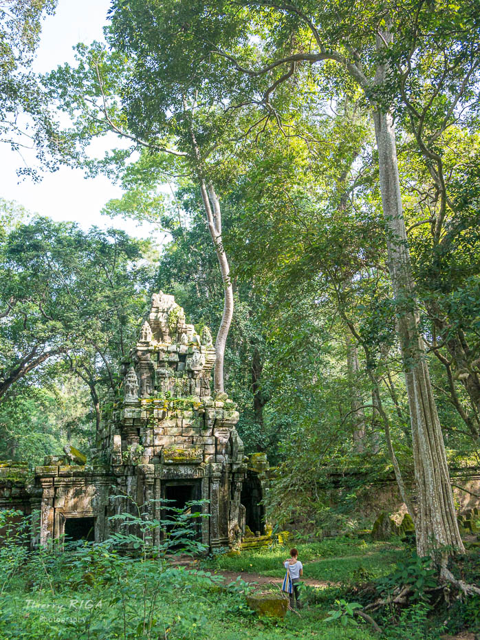 Angkor_Wild_Thierry_Riga_1160898