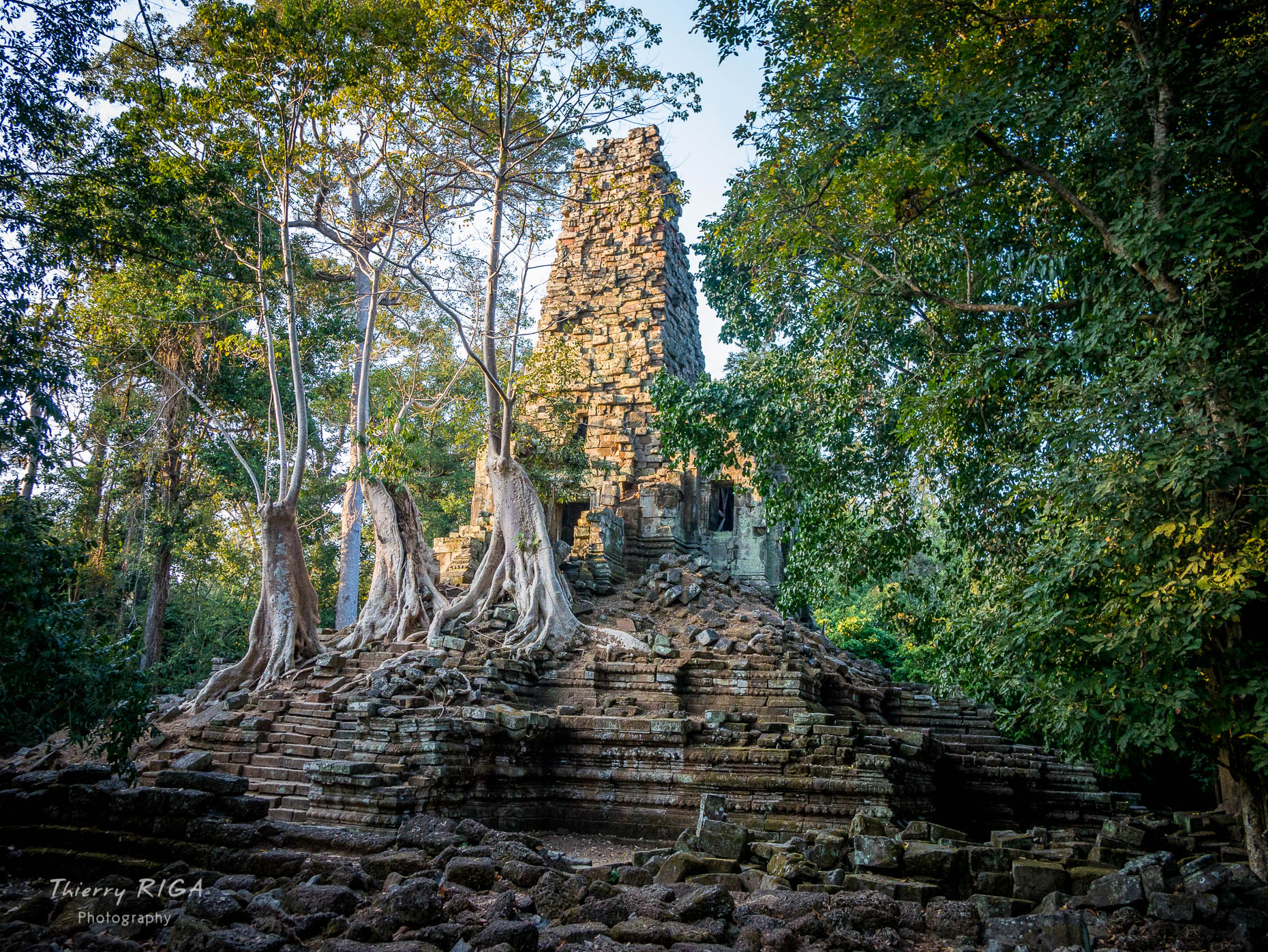 Angkor_Wild_Thierry_Riga_1190854