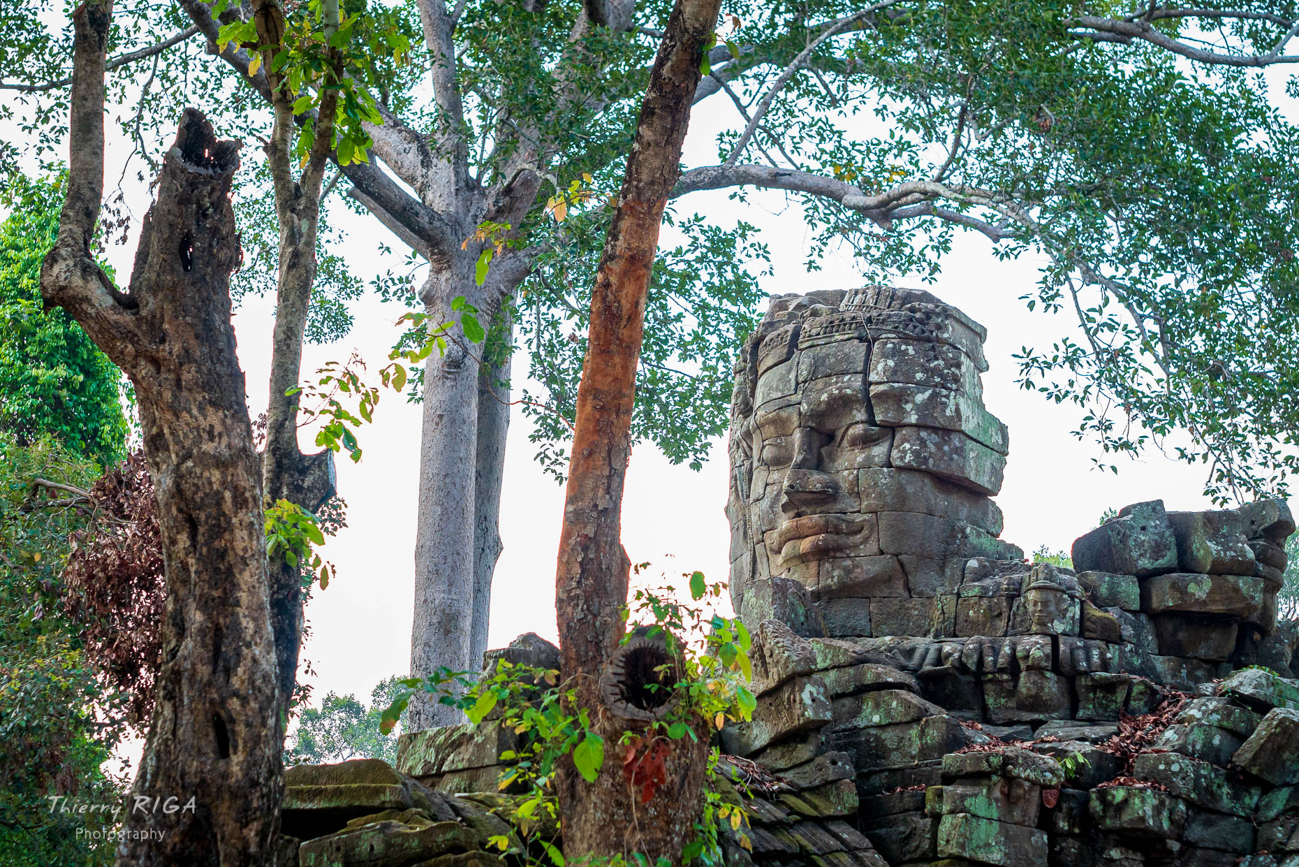 Angkor_Wild_Thierry_Riga_1210156Copy1