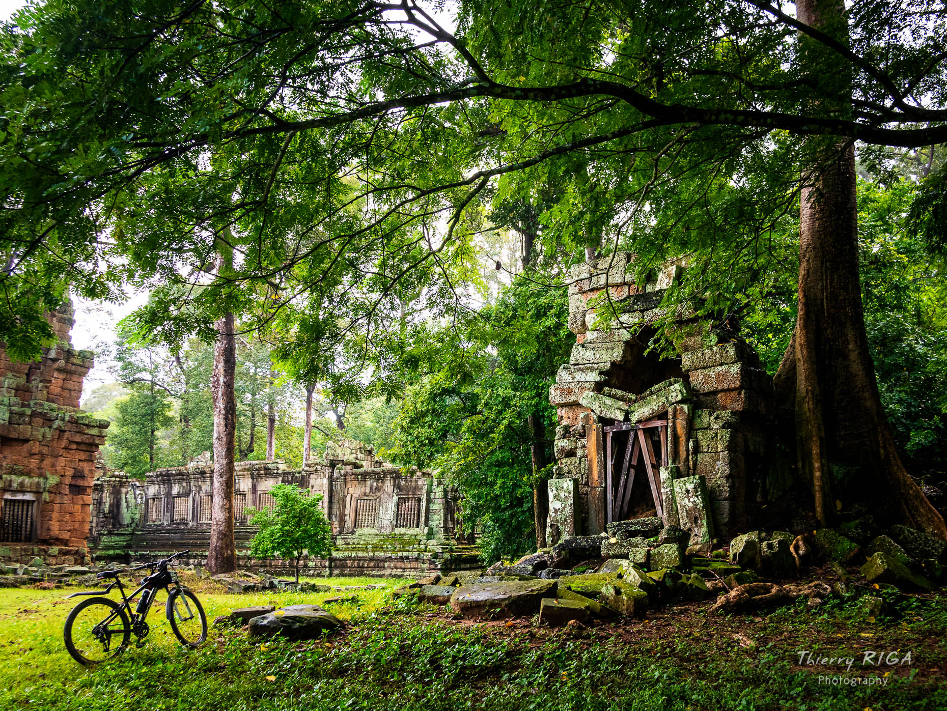 Angkor_Wild_Thierry_Riga_1280753-EditCopy1