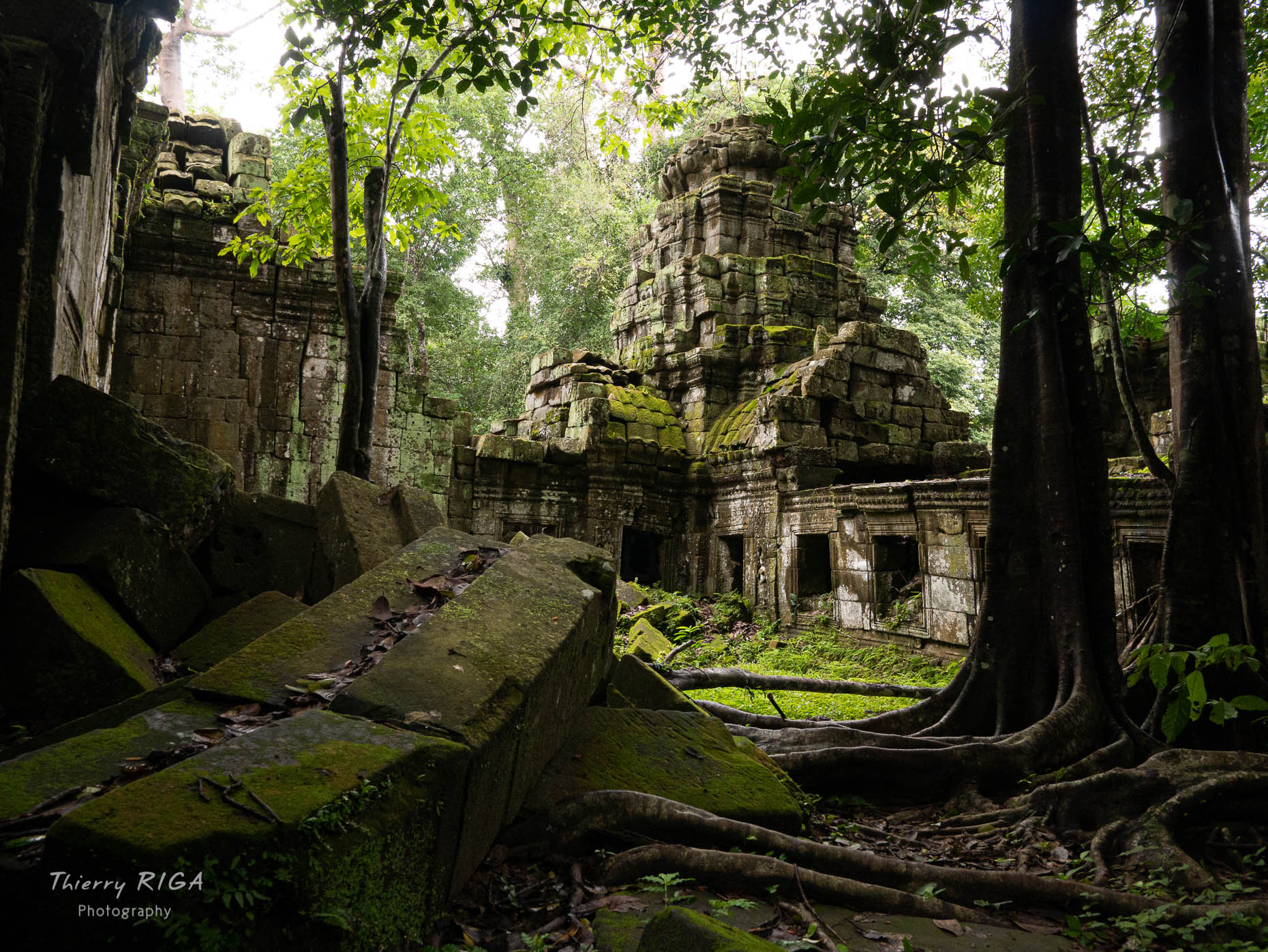 Angkor_Wild_Thierry_Riga_1290002-Edit