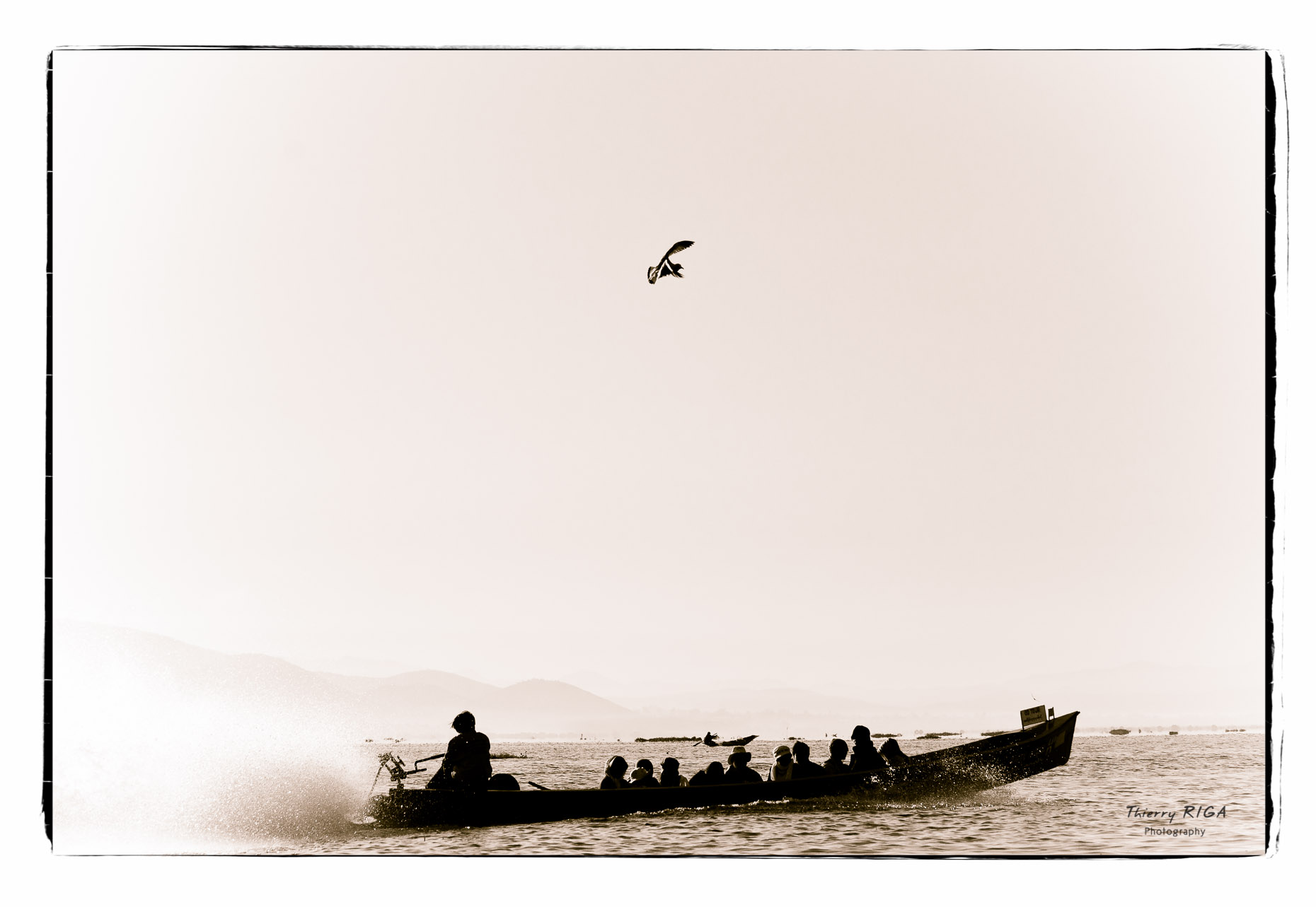 Inlay lake speedboat and bird, Myanmar
